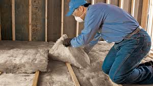 Best Spray Foam Insulation  in Dumas, TX