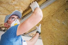 Best Attic Insulation Installation  in Dumas, TX